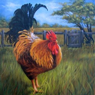 Ronnie Bringle