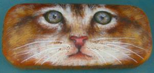 Purrfect Vision